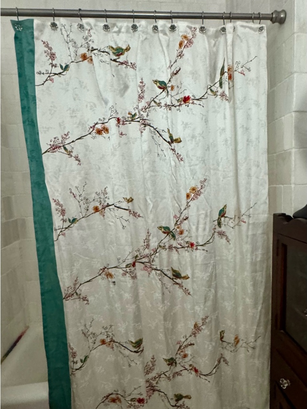 Bird Branch Shower Curtain with Teal Trim - includes hooks - full size